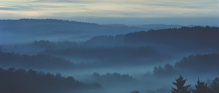 Teutoburg Forest